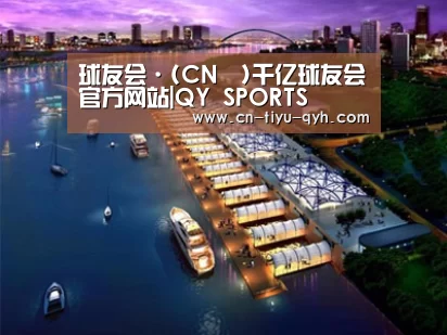 案例展示八