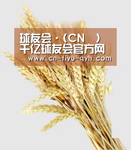 球友会·(CN™)千亿球友会官方网站|QY SPORTS